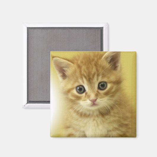 Aimant Kiosité (Recto/Verso)