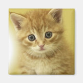 Aimant Kiosité (Devant)