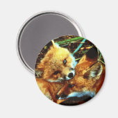 Aimant Kits Red Fox (Recto/Verso)
