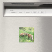 Aimant Kits Red Fox (In Situ (Lave-vaisselle))
