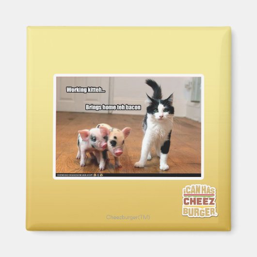 Aimant Kitteh (Devant)