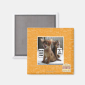 Aimant Kitteh carols (Recto/Verso)