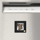 Aimant Kitteh carols (In Situ (Lave-vaisselle))