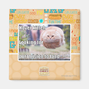 Aimant Kitteh de vol plané