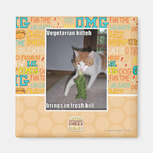 Aimant Kitteh végétarien