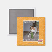 Aimant Kitteh végétarien (Recto/Verso)