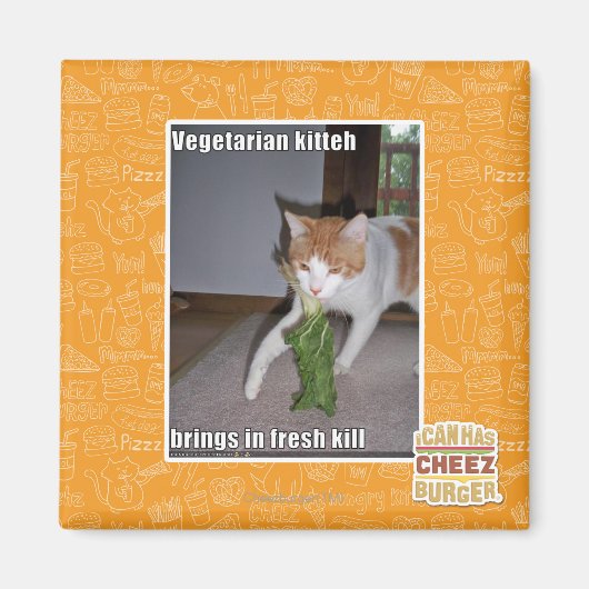 Aimant Kitteh végétarien (Devant)