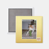 Aimant Kitteh végétarien (Recto/Verso)
