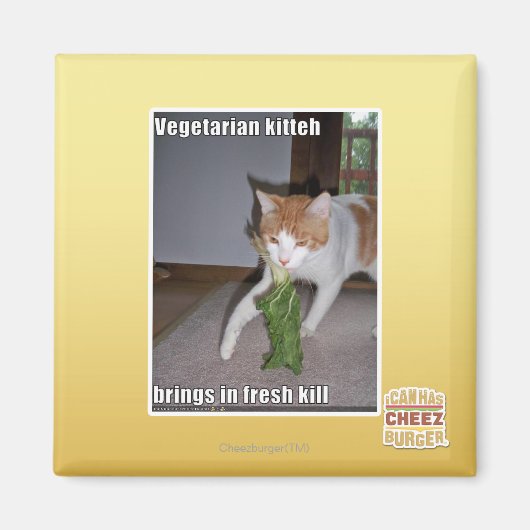Aimant Kitteh végétarien (Devant)