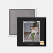 Aimant Kitteh végétarien (Recto/Verso)