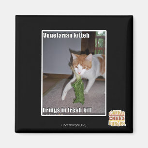 Aimant Kitteh végétarien