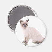 Aimant kitten (Recto/Verso)