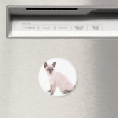 Aimant kitten (In Situ (Lave-vaisselle))