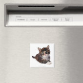 Aimant Kitten (In Situ (Lave-vaisselle))