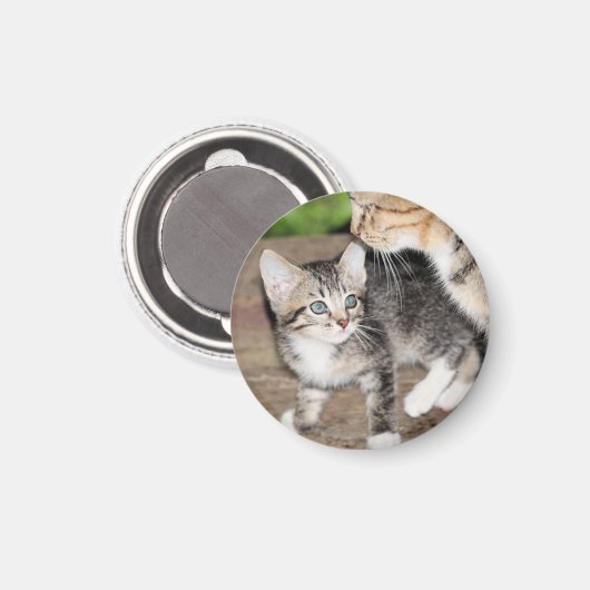 Aimant Kitten (Recto/Verso)
