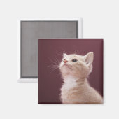Aimant Kitten avec Whiskers (Recto/Verso)