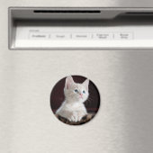 Aimant Kitten blanc vulnérable (In Situ (Lave-vaisselle))