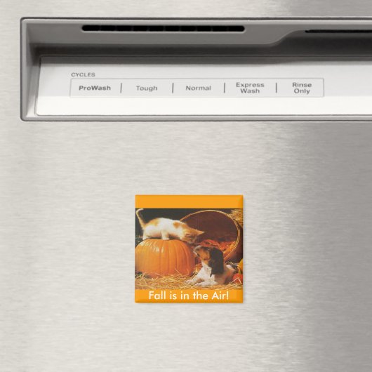 Aimant Kitten, Citrouille et chiot (In Situ (Lave-vaisselle))