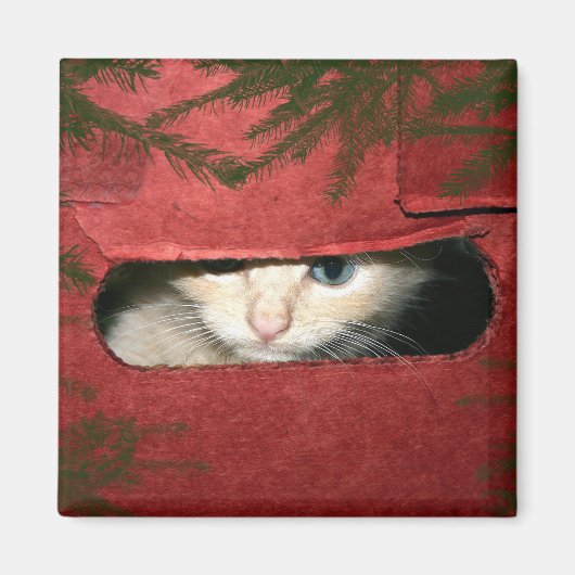 Aimant Kitten dans la boîte de Noël (Devant)