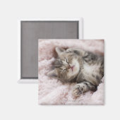 Aimant Kitten Dormir sur la serviette (Recto/Verso)