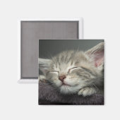 Aimant Kitten endormi (Recto/Verso)