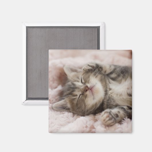 Aimant Kitten endormi (Recto/Verso)