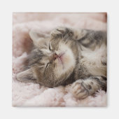 Aimant Kitten endormi (Devant)