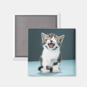 Aimant Kitten mewing (Recto/Verso)