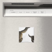 Aimant Kitten Regardez la queue de sa mère (In Situ (Lave-vaisselle))