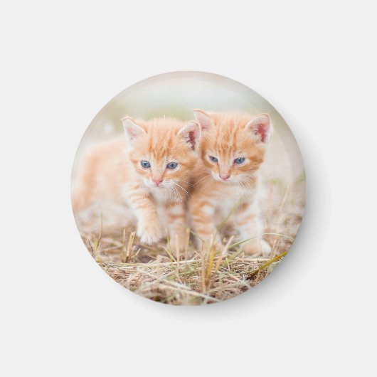 Aimant Kitten, Rouge, Deux (Devant)