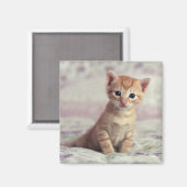 Aimant Kitten Tiny Ginger (Recto/Verso)