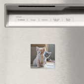 Aimant Kittens de Curious (In Situ (Lave-vaisselle))