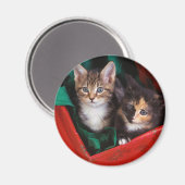 Aimant Kittens de Noël (Recto/Verso)