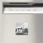 Aimant Kitts Cotty House (In Situ (Lave-vaisselle))