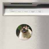 aimant kitty (In Situ (Lave-vaisselle))