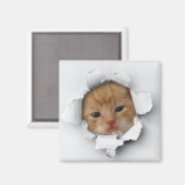 Aimant Kitty (Recto/Verso)