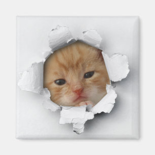 Aimant Kitty