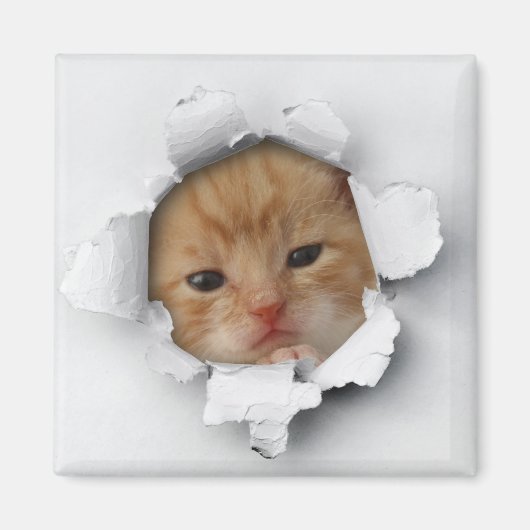 Aimant Kitty (Devant)