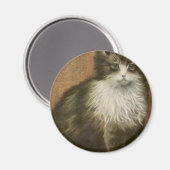 Aimant Kitty (Recto/Verso)