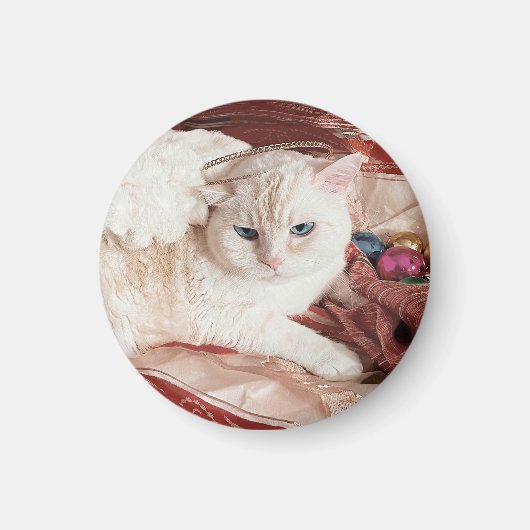Aimant Kitty Angel pour Noël (Devant)