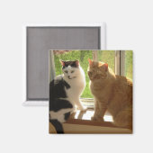Aimant Kitty Chat Love (Recto/Verso)