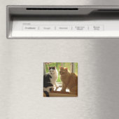 Aimant Kitty Chat Love (In Situ (Lave-vaisselle))