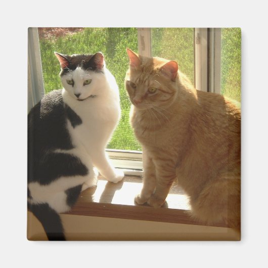 Aimant Kitty Chat Love (Devant)