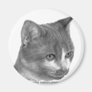 Aimant Kitty, chat tigré
