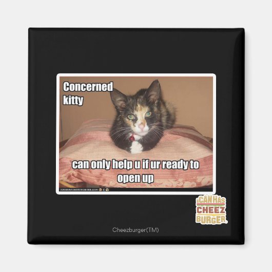 Aimant Kitty Concerné (Devant)