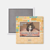 Aimant Kitty Concerné (Recto/Verso)