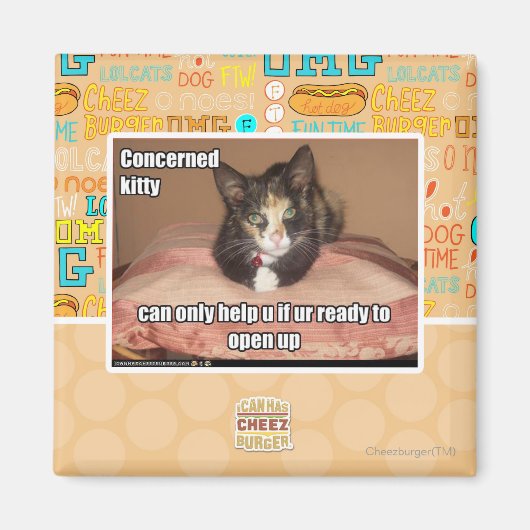 Aimant Kitty Concerné (Devant)