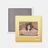 Aimant Kitty Concerné (Recto/Verso)