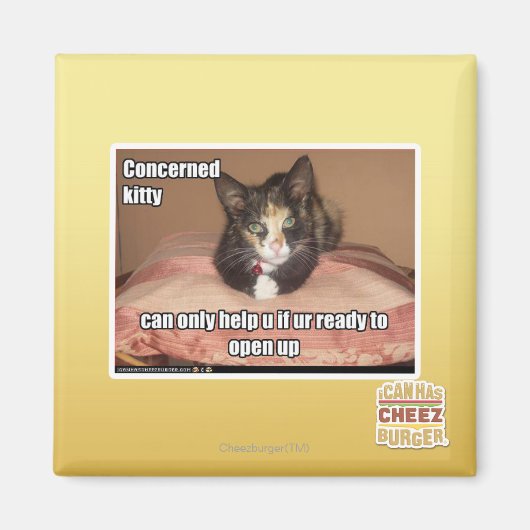 Aimant Kitty Concerné (Devant)