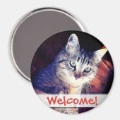 Aimant Kitty Dans Les Rafters Gros Plan Photo (Recto/Verso)